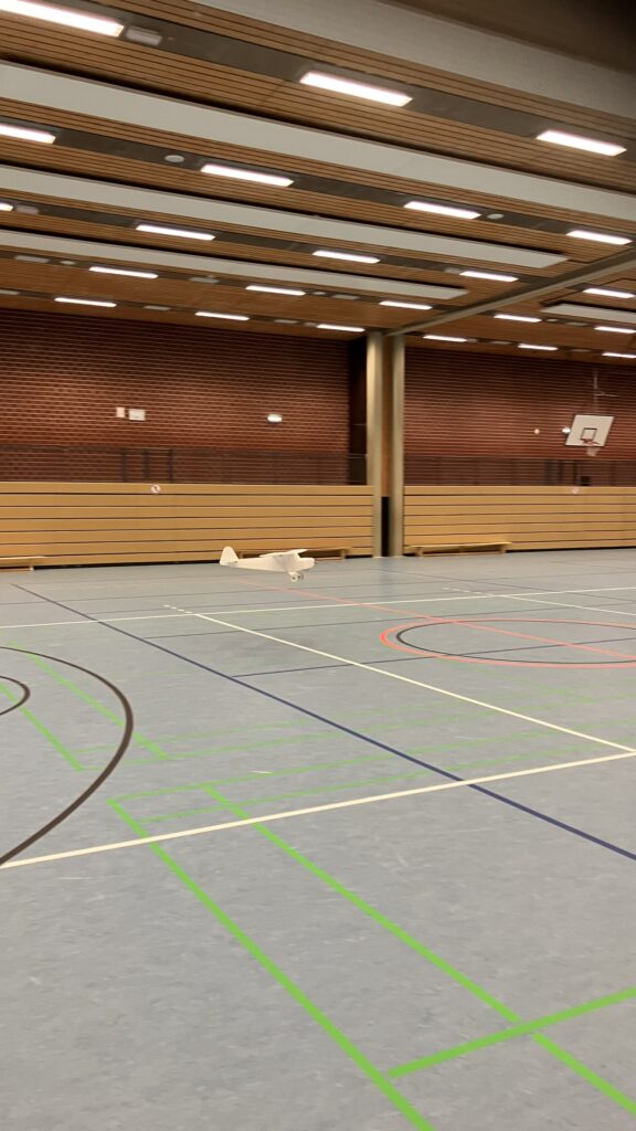Hallenfliegen